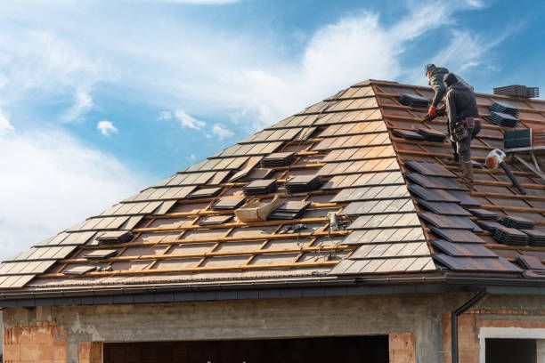 Best Green or Eco-Friendly Roofing Solutions  in Camano, WA